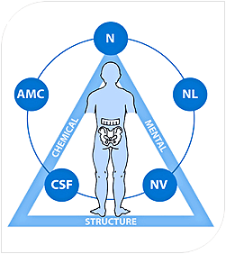The Triad of Health
